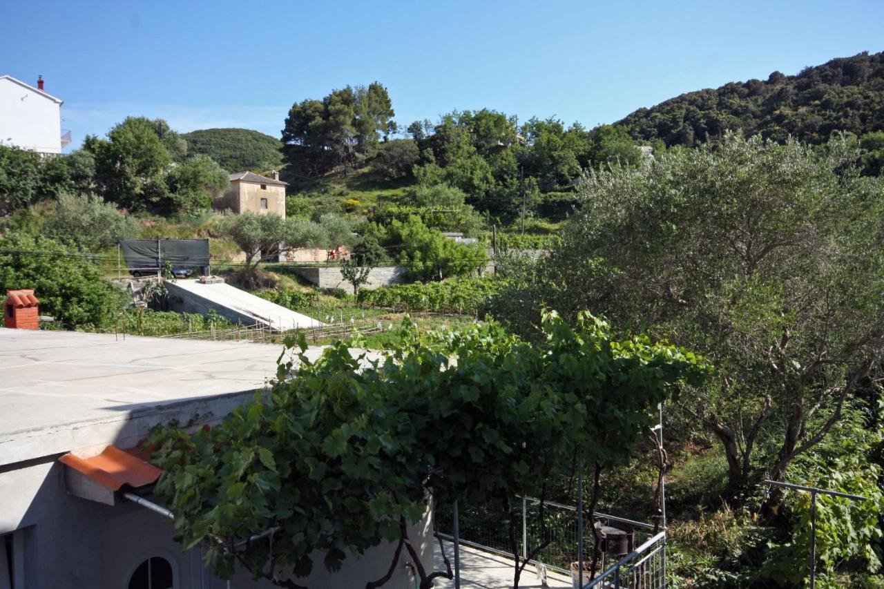Family Friendly Apartments With A Swimming Pool Supetarska Draga - Donja, Rab - 2019 Εξωτερικό φωτογραφία